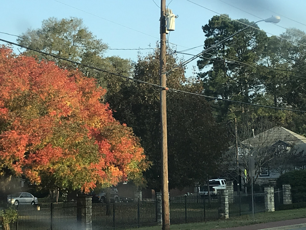 [Image: 9-D354287-D34-B-4-C6-F-981-E-F5-B4485-E3602.jpg]