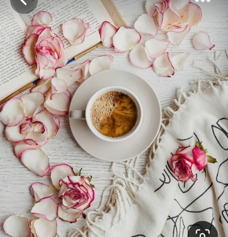 Screenshot_20230710_225340_Pinterest