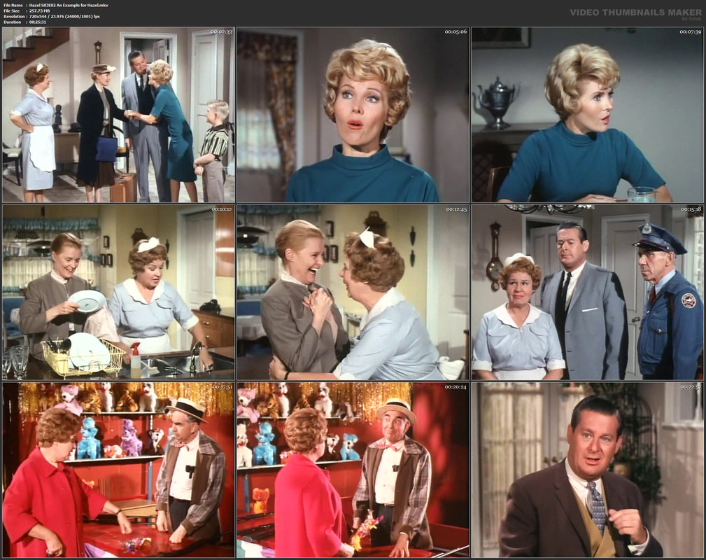 Hazel S03E02 An Example for Hazel.mkv