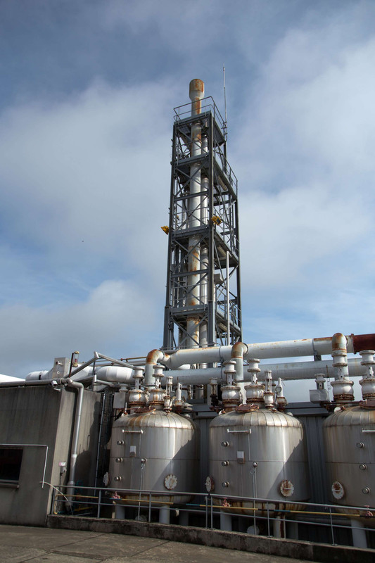 [Bild: IMG-1393.jpg]