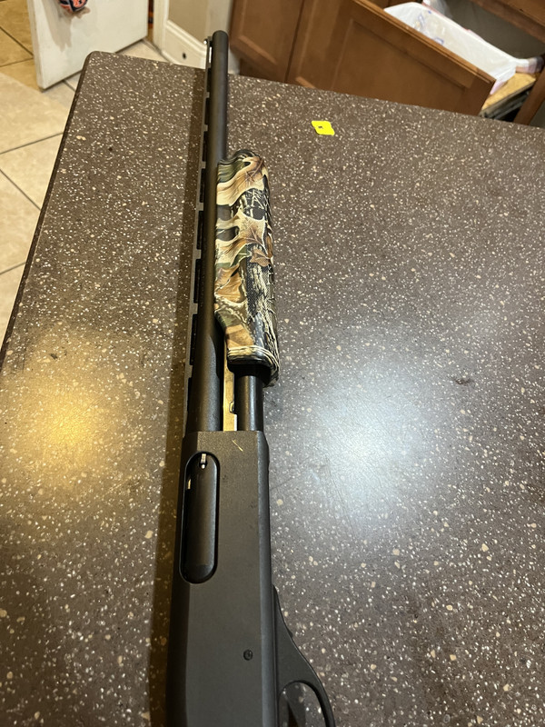 408CA799-8D2A-435E-B398-6E2F2EE568A1