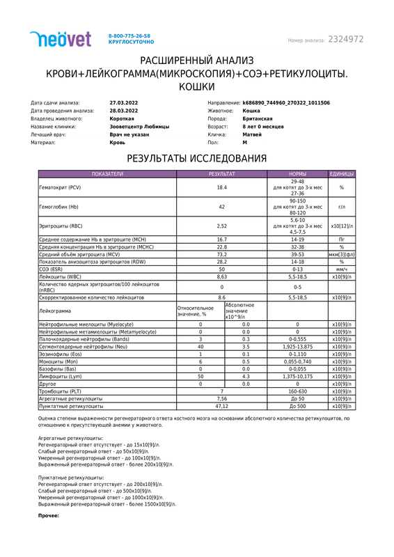 Анализ крови 1 — Postimages