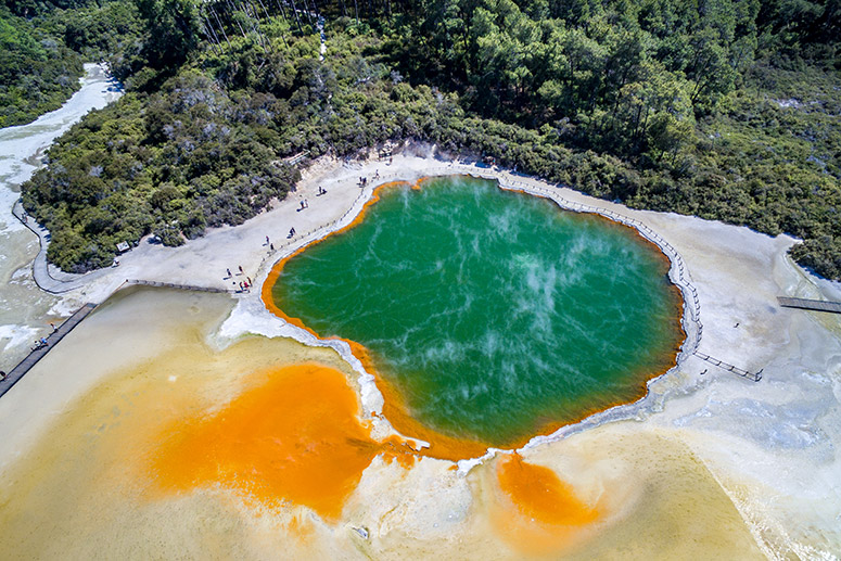 Rotorua to Auckland via Taupo & Hamilton Gardens (ONE WAY) Small Group Tour | Shaara Deals