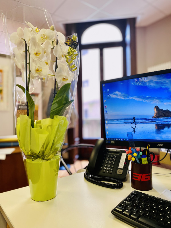 0F50ED92-CAFA-4AE4-82B9-6A02B8B339BA