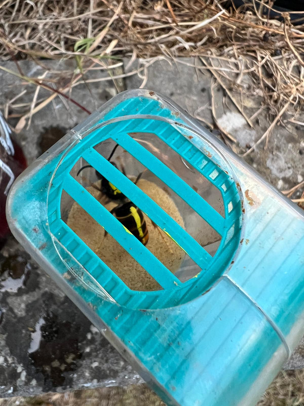 WhatsApp Image 2025-09-09 at 08.27.42(1)