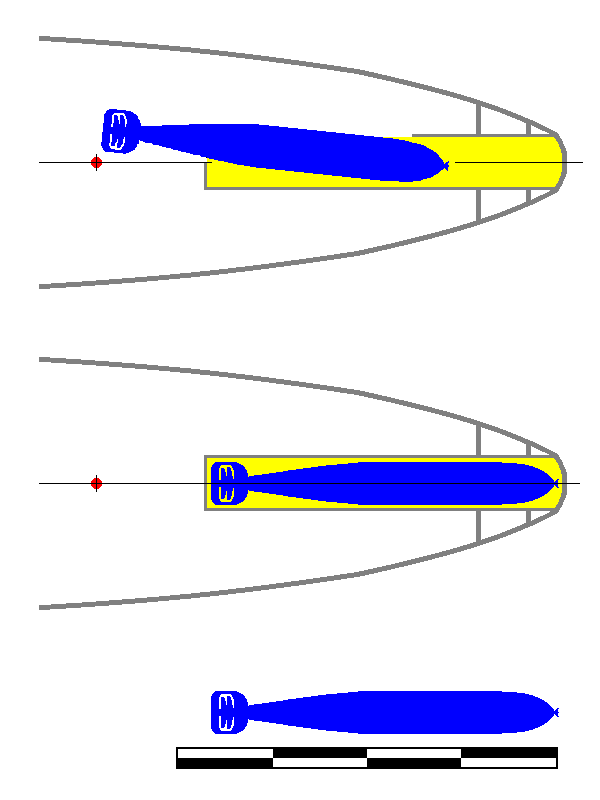 TLS-Delf-Glauco-3.png