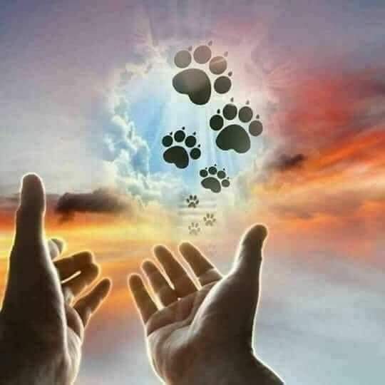 [Image: FB-IMG-1610629336173.jpg]