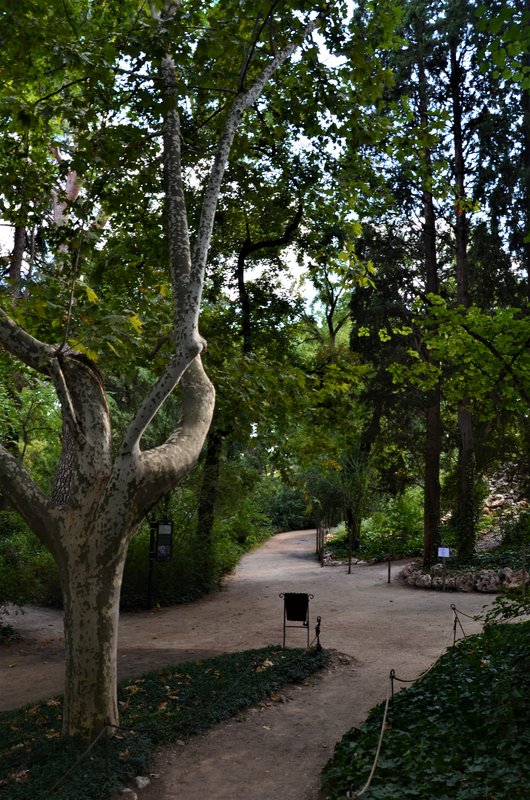 PARQUE EL CAPRICHO-2013-2022-MADRID - Paseando por España-1991/2016 (199)