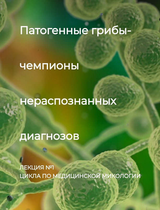 Screenshot-20231107-162431-Samsung-Internet.jpg Screenshot-20231107-162431-Samsung-Internet.jpg