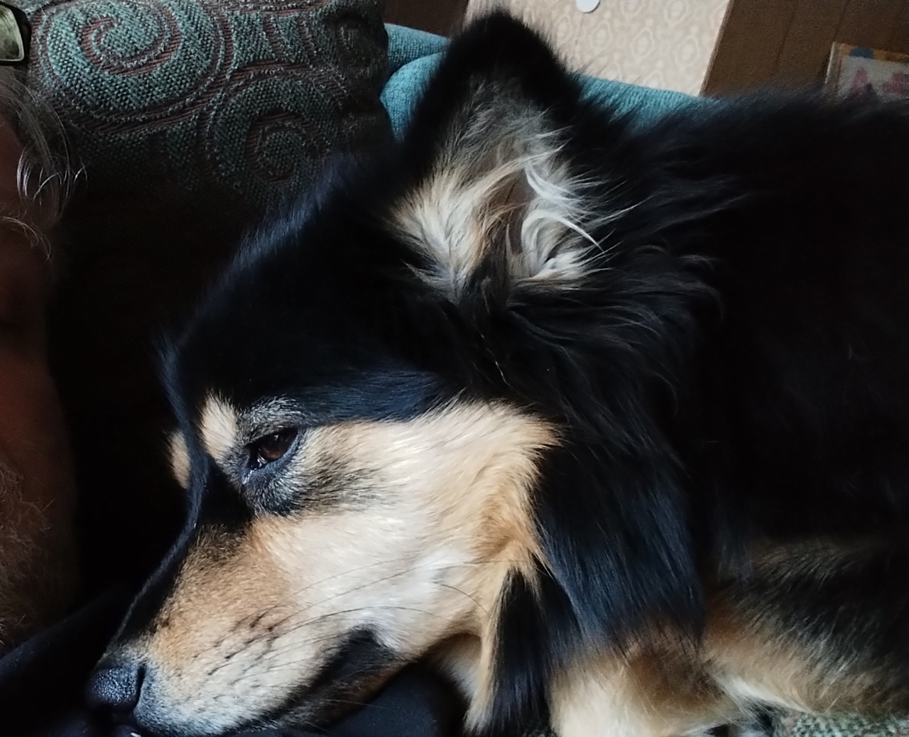 IMG 20260108 124029 edit 199604056482866