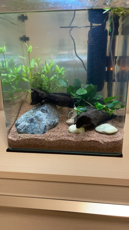 67FBFE57-3AF7-479D-AE77-AC6B42CF5F8E