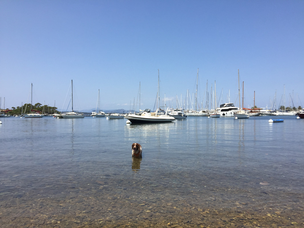 0F92605B-0FE3-423A-B6AB-B4385AFA1D91