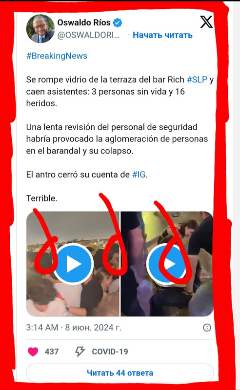 https://i.postimg.cc/N0G0GQZK/Screenshot-20240609-221503-Gallery.jpg