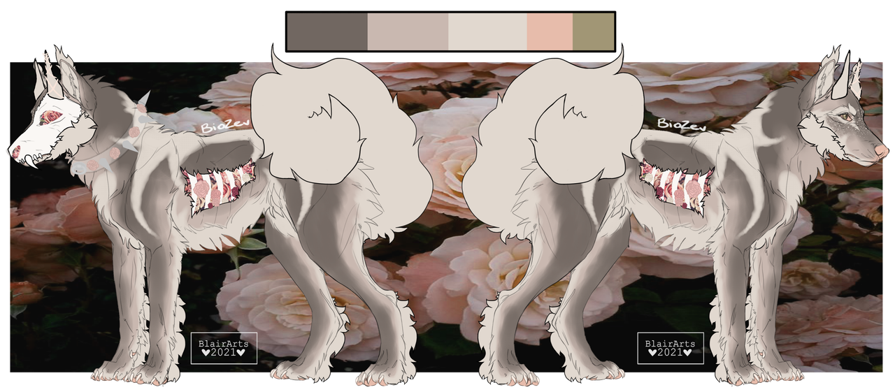 roseth.png