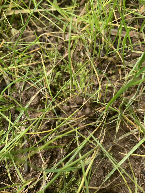 E3F8BF17-8EA7-489C-9816-19B79A94602F