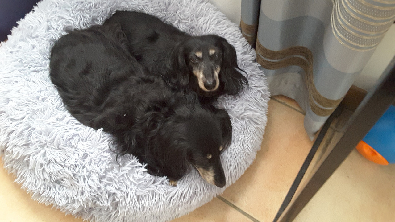 [Image: 20201004-125350.jpg]