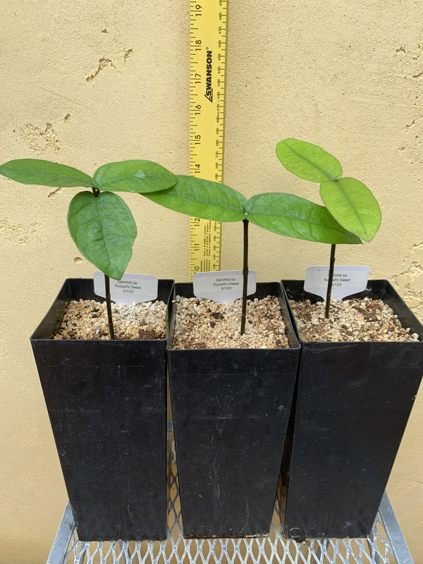 F30966A7-15BA-490F-81CD-2D1895058D73