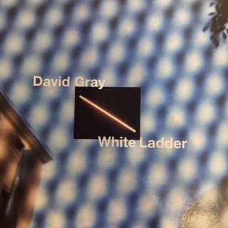 David Gray: White Ladder : CD