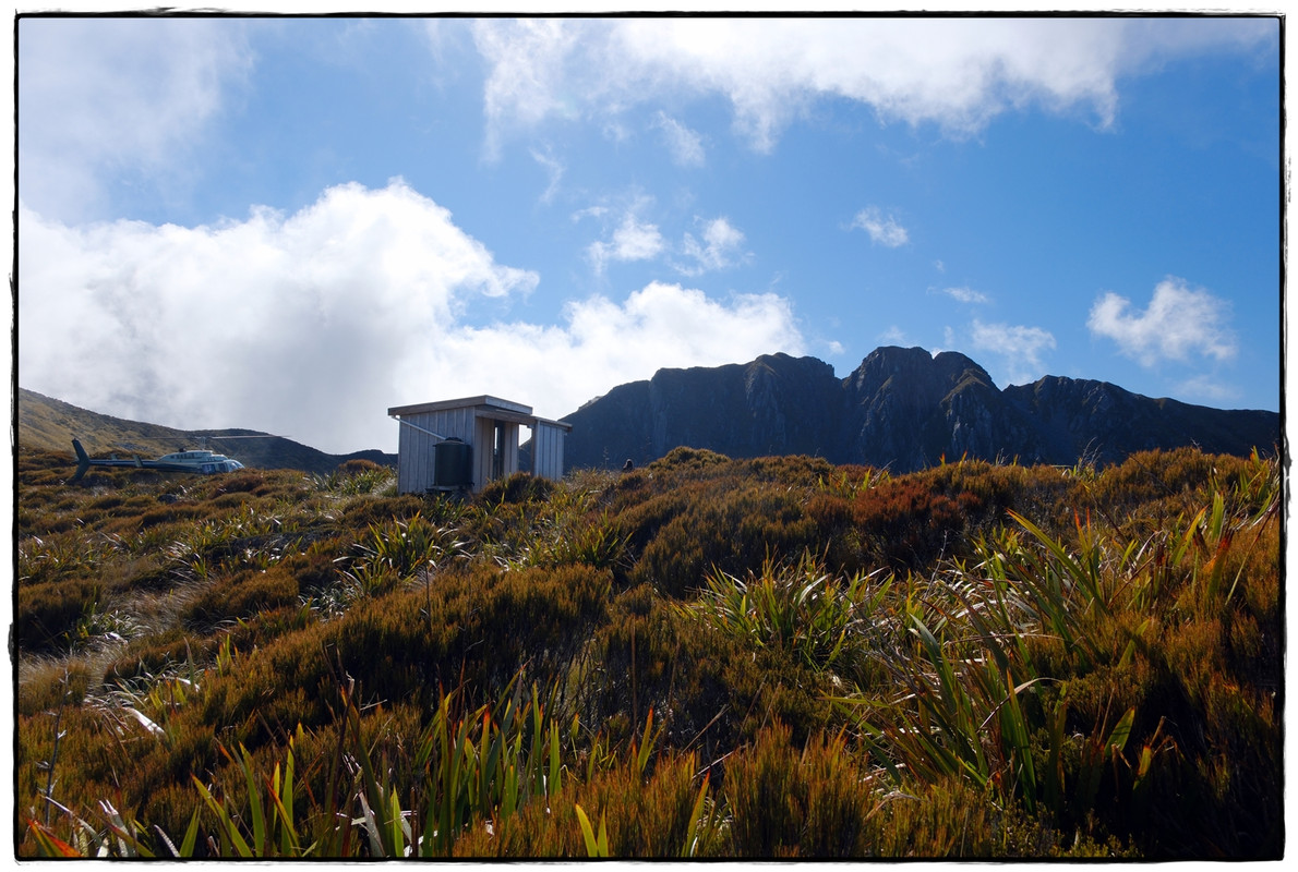 The Old Ghost Road (marzo 2024) - Escapadas y rutas por la Nueva Zelanda menos conocida (23)