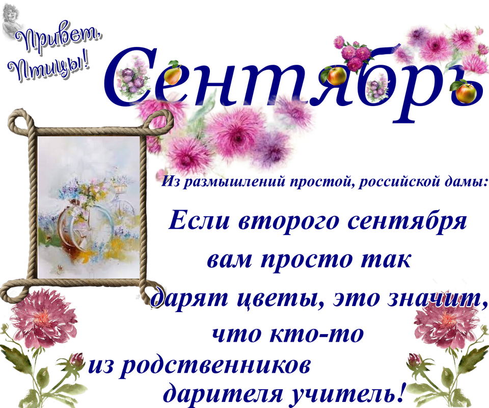 https://i.postimg.cc/N0HhdgpZ/02-09.png
