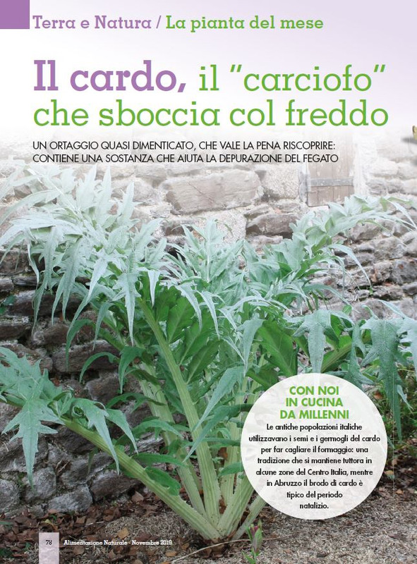 Alim Nat Nov 2019 (9)