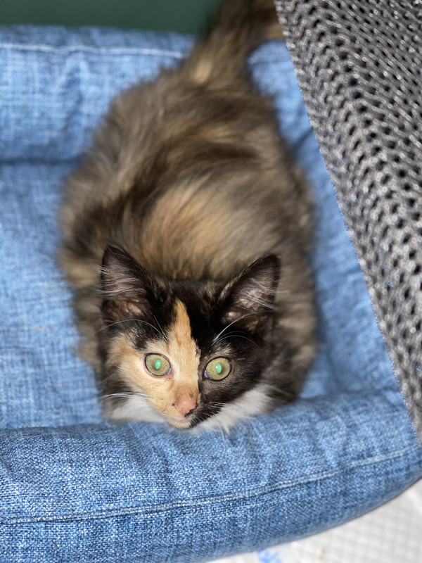 275DA1F4-4B8F-454D-96B9-BAFDECB49954