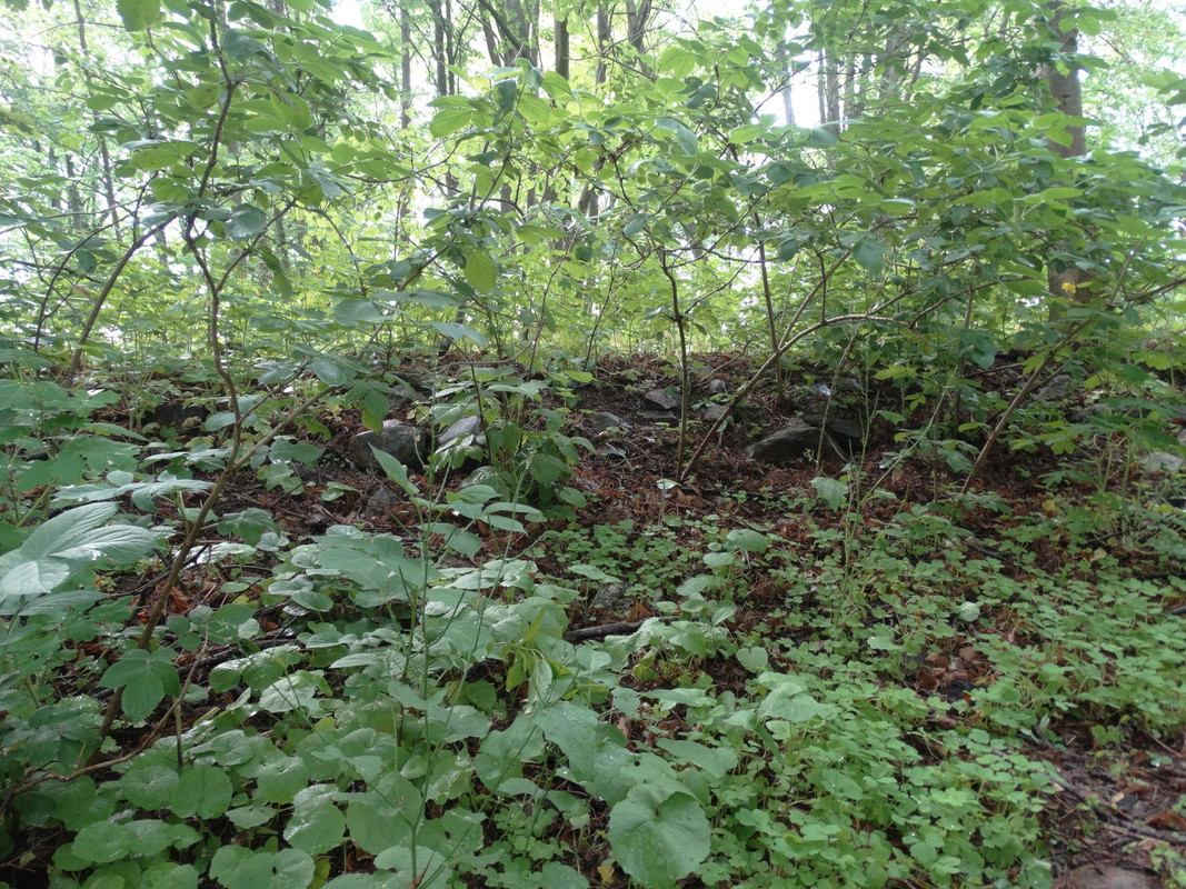 20 - DSC04033 (Czesio1)