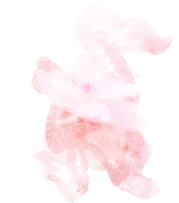 Overlay4