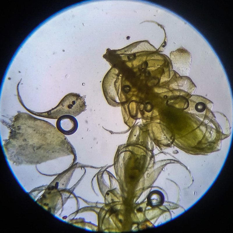 IMG 20250614 204525 HDR