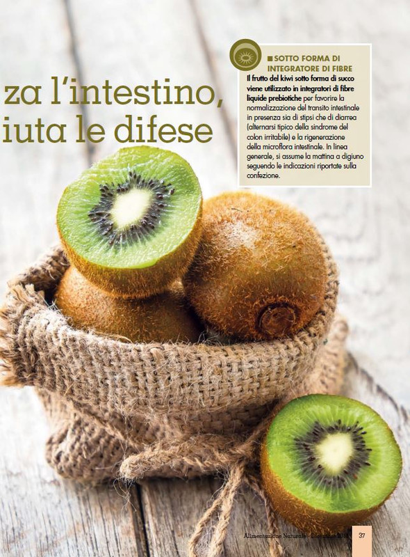 Alim Nat Dic 2015 (4)