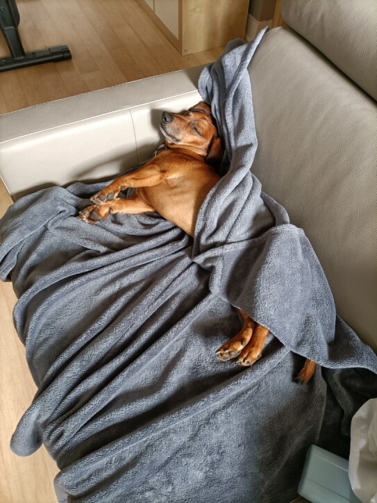 [Image: image000000-256.jpg]