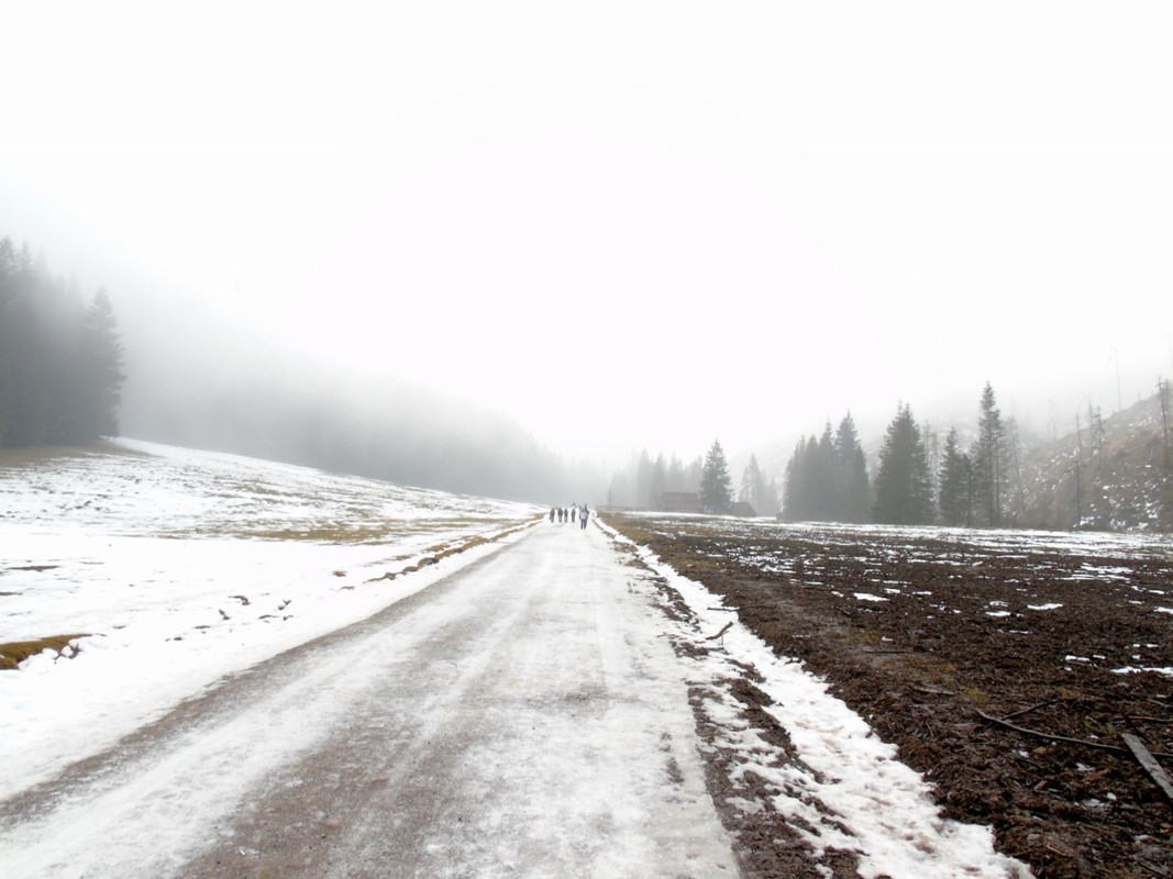 006 - DSC00601 (1280x960) (PawelK)