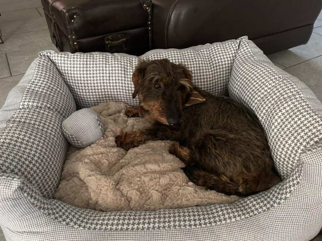 [Image: 682708187.jpg]