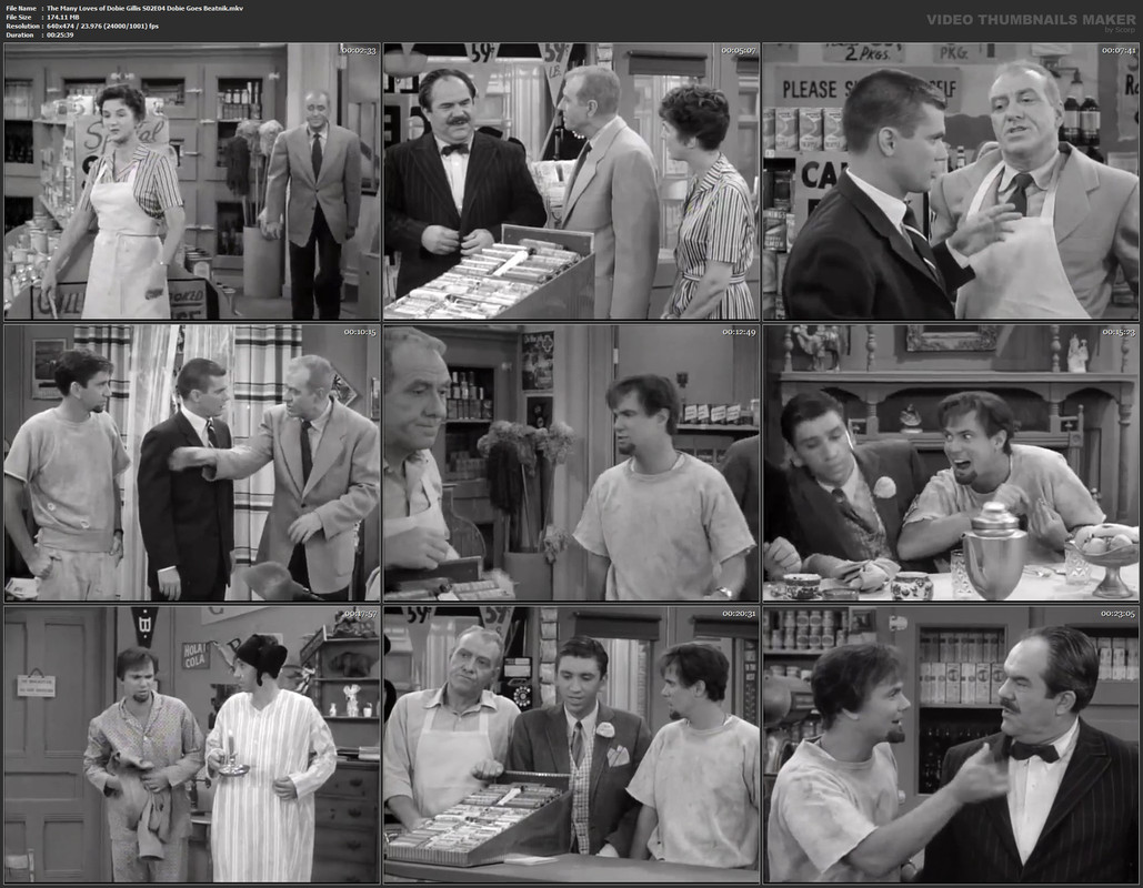 The Many Loves of Dobie Gillis S02E04 Dobie Goes Beatnik.mkv