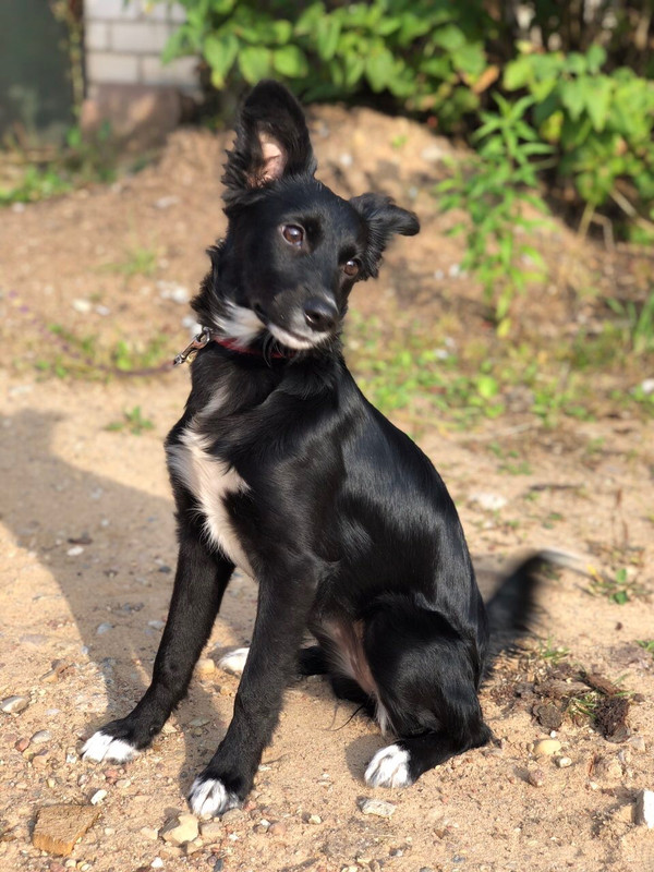 616091EF-1155-4946-B319-5EC0C5B79DB9