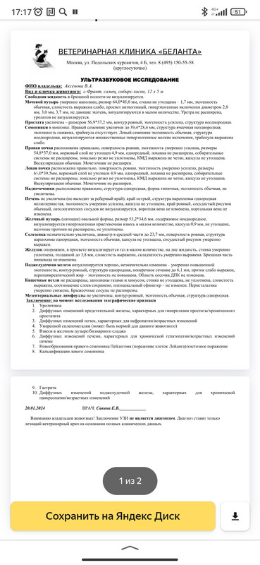 Screenshot_2024-01-26-17-17-39-046_ru.yandex.searchplugin