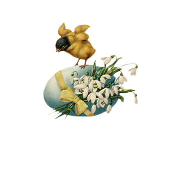 0_1c0c7e_cd717421_orig