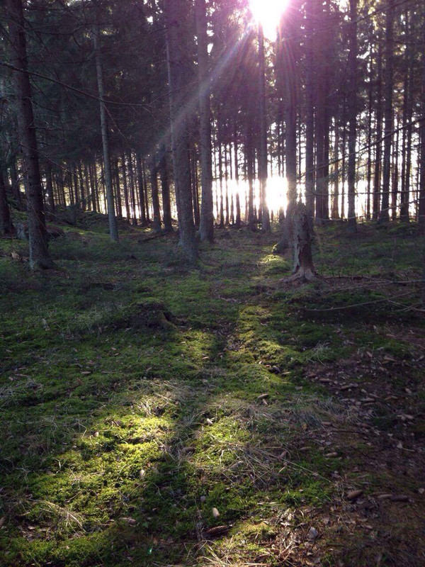 FB_IMG_1445448412648