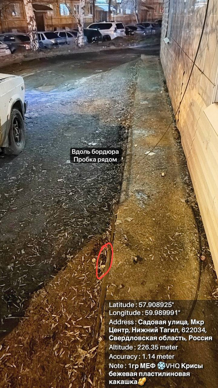 тагил4
