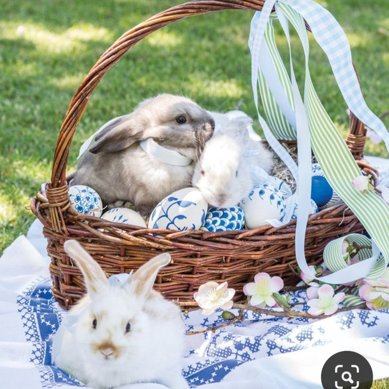 Screenshot_20230415_231131_Pinterest