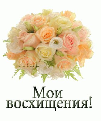 https://i.postimg.cc/N0LC61Yb/5a719f7730ec7ae8e008a59a0e5d64a2.jpg