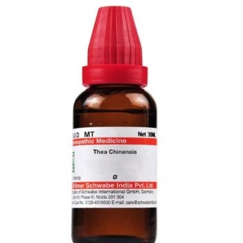 Willmar Schwabe India Thea Chinensis 1X (Q) (30ml)