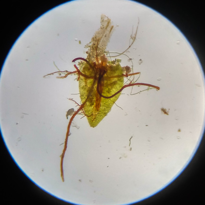 IMG 20250617 115355 HDR