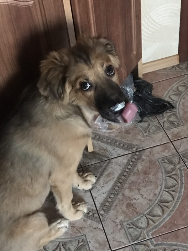 IMG-2d15c663fe54434122a947ab92b0f92c-V