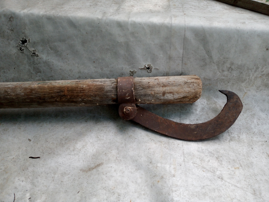 IMG_20250713_160830078