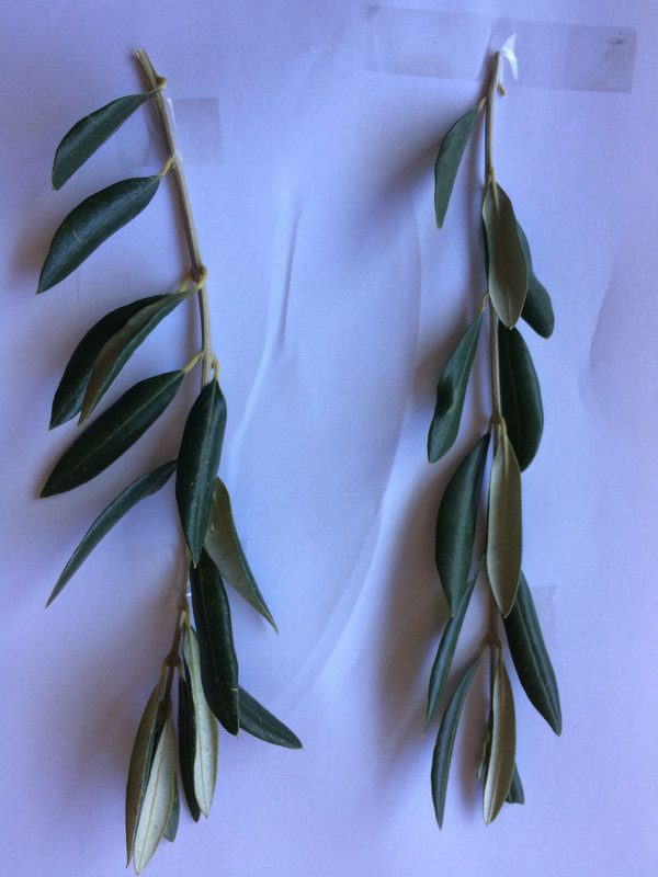 D94E509A-4A0E-47A0-8A00-07AF4D1C99C2