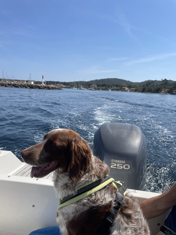 6779A992-730F-45FD-9A74-14B46C9E0C3F