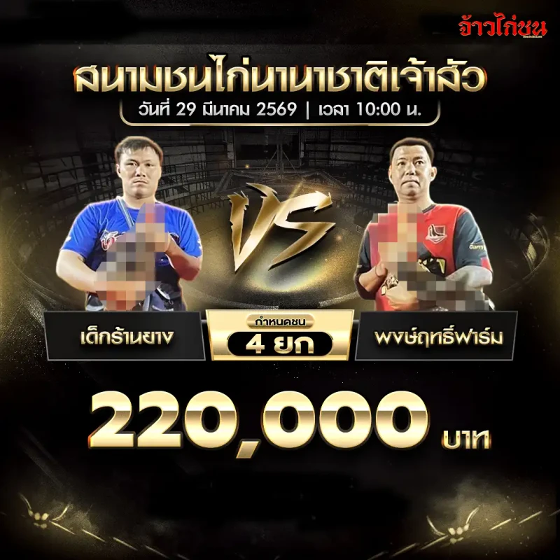 เด็กร้านยาง พบ พงษ์ฤทธิ์ฟาร์ม โปรแกรมไก่ชน สนามชนไก่นานาชาติเจ้าสัว 29 มีนาคม 2569