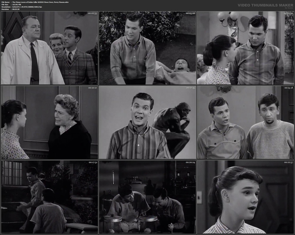 The Many Loves of Dobie Gillis S03E03 Move Over, Perry Mason.mkv