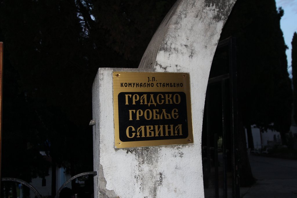 [Linked Image]